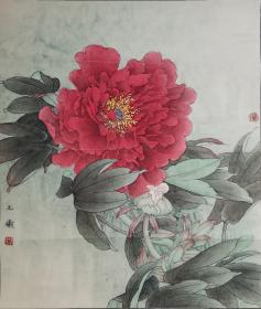 中国美术家协会会员杜玉曦《红牡丹》工笔立轴