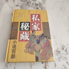 私家秘藏小说百部 海上花魅影 凤凰池 西湖拾遗 壶中天