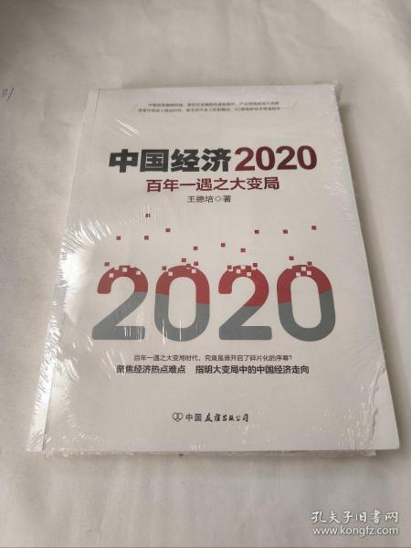 中国经济2020