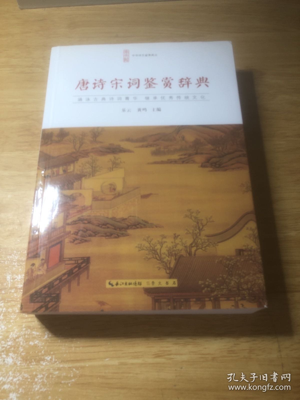 唐诗宋词鉴赏辞典