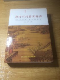 唐诗宋词鉴赏辞典