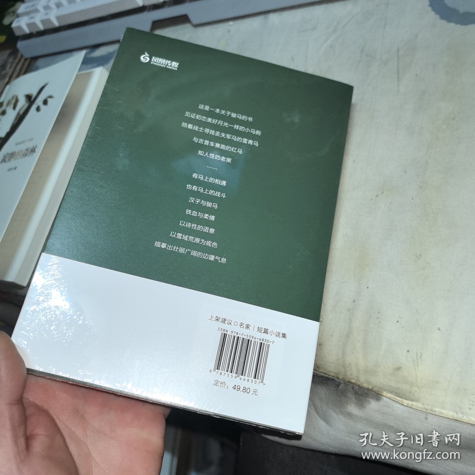 名叫月光的骏马