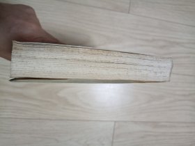 从贝鲁特到耶路撒冷 美国记者中东见闻录 包邮挂刷