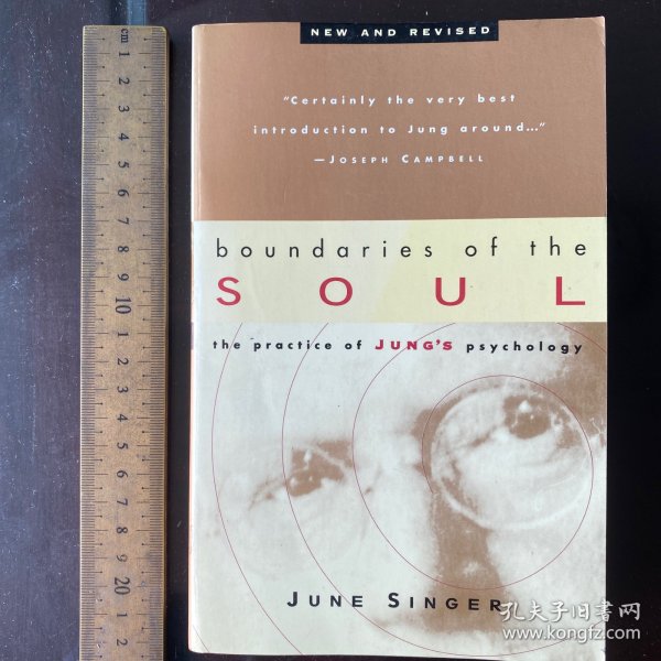 The boundaries of soul Jung psychoanalyst psychoanalysis 英文原版