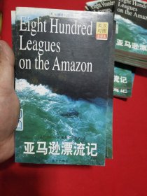 凡尔纳科幻探险系列（英汉对照全译本）：亚马逊漂流记2、3（两本合售）