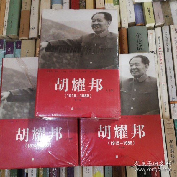 胡耀邦1915--1989（全三卷）精装