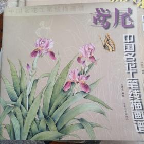 鸢尾/中国名花工笔线描画谱