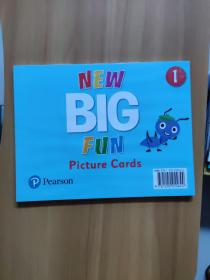 NEW BIG FUN