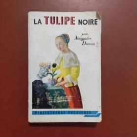 LA TULIPE NOIRE