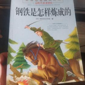 钢铁是怎样炼成的 正版清仓