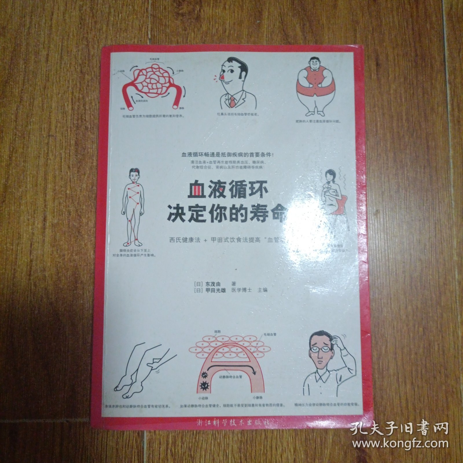 血液循环决定你的寿命