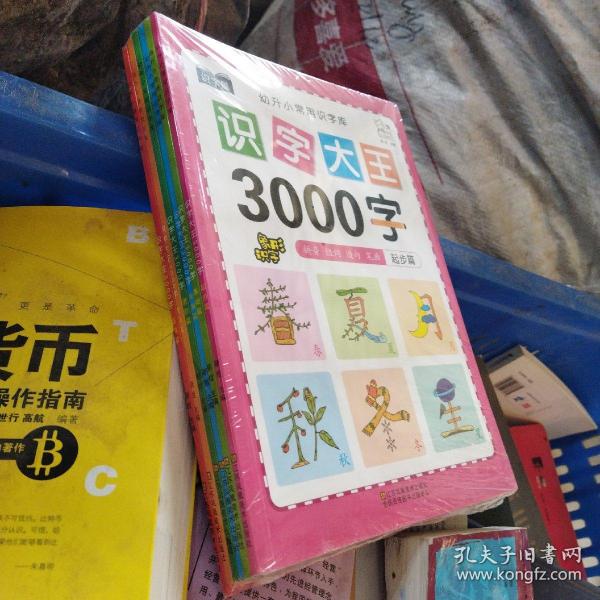 幼儿学前识字大王3000字全套6册 幼小衔接一日一练全套识字教材 幼儿园大班中班小班一年级3-4-5-6岁幼升小看图识字神器儿童启蒙早教认字书