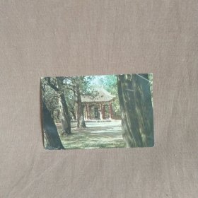 (包邮)上世纪八十年代末发行的《黄帝陵》风景空白明信片一张(上海人民美术出版社发行)。