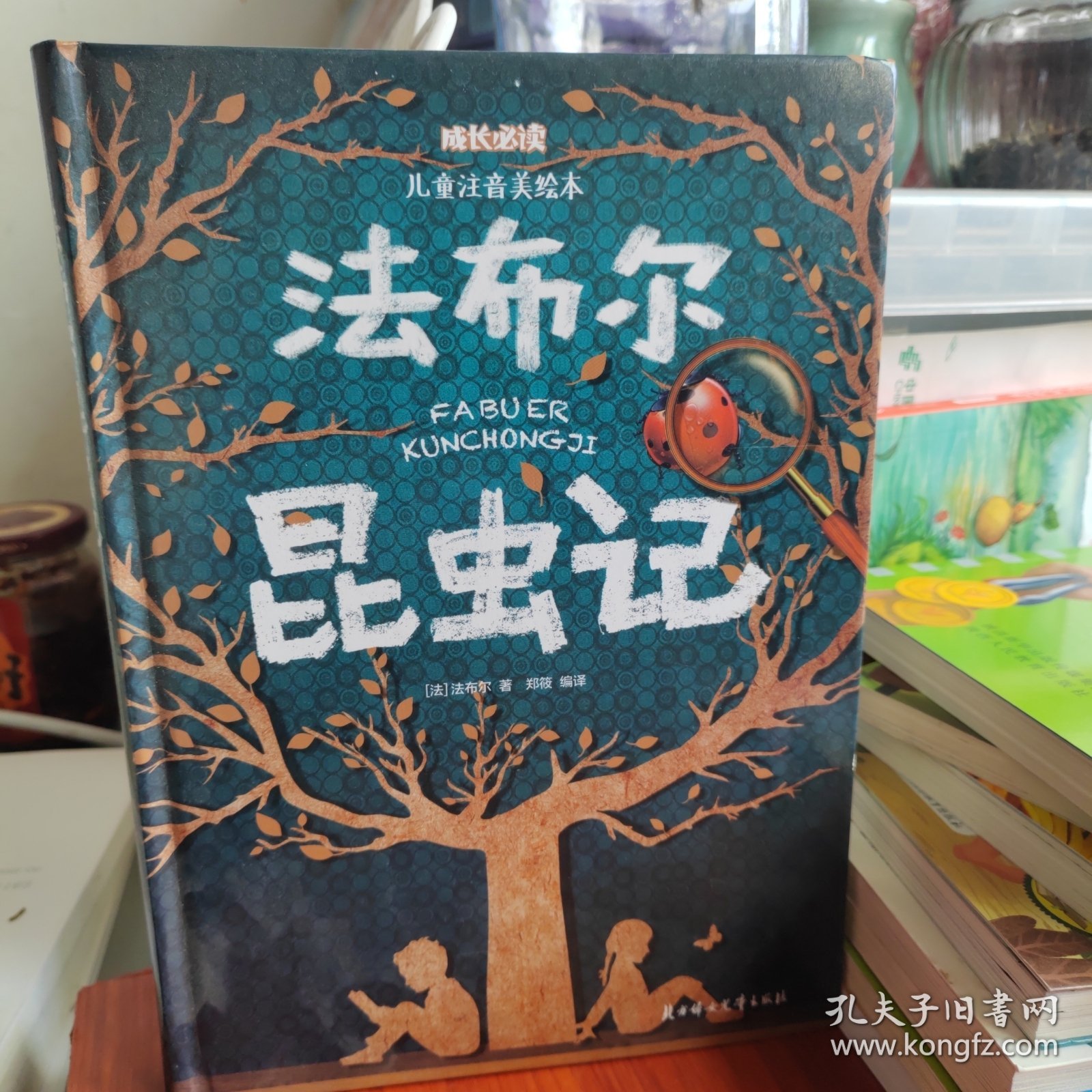 法布尔昆虫记（儿童注音美绘本）