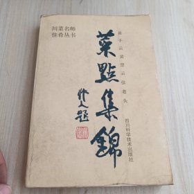 菜点集锦