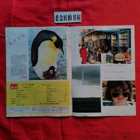 世界知识画报（1988年 第1、3x2、4、7、8、10、12期）。共计8册/合售。