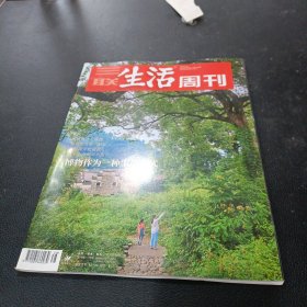 三联生活周刊杂志 2023年第38期