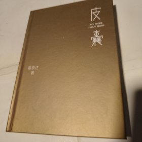 皮囊