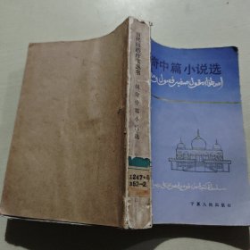 胡奇中篇小说选