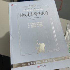 弘文精品--整本书阅读系列--儒林外史 钢铁是怎样炼成的 简爱（单本