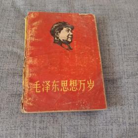 毛泽东思想万岁 1967年 红皮木刻头像