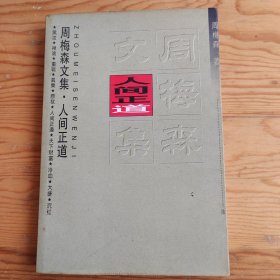 人间正道，周梅森文集，2024年，3月17号上，