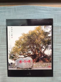 《浙江第一樟》摄影作品 2009“瓯江行”丽水摄影大展 拍摄地点：丽水路湾村口