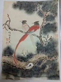 收的旧藏 田世光款手绘国画，画的很好，宣纸是自然氧化自然旧（可以和下面宣纸颜色对比）图物一致售后不退 不换，麻烦——下面有处小破损，装裱后可以密合。尺寸59乘42厘米。