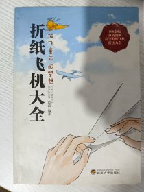 折纸飞机大全：放飞童年的梦想