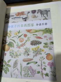 给孩子的自然图鉴：动物图鉴