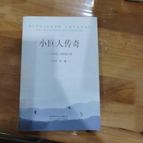 小巨人传奇：从农民工到技能大师