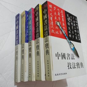 中国书法技法宝典 全5册-楷书卷-行书卷-草书卷-隶书卷-篆书卷-收录历代墨迹，碑刻，刻石，拓片