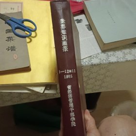 世界知识画报1985年1-12《合订本缺11》【精装原版 实拍】
