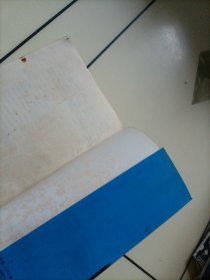 让世界大吃一惊的女人们