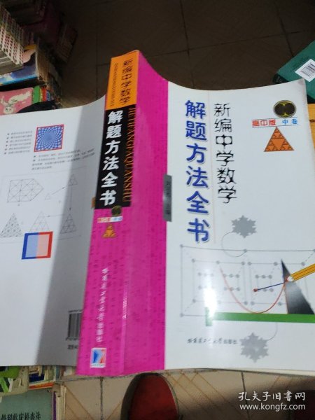 新编中学数学解题方法全书（中卷）（高中版）