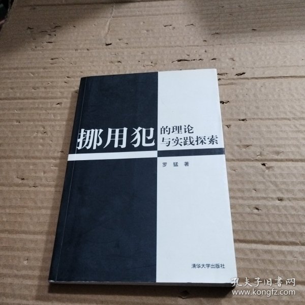 挪用犯的理论与实践探索