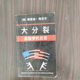 大分裂：美国梦的反思