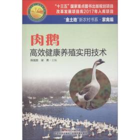 肉鹅高效健康养殖实用技术 养殖 陈国胜，梁勇主编 新华正版