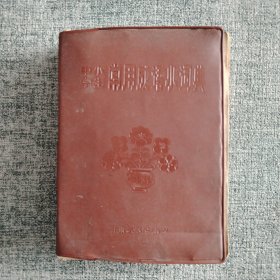 中小学生常用成语小词典