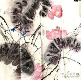 国画四尺斗方花鸟797