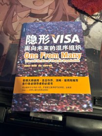 隐形VISA