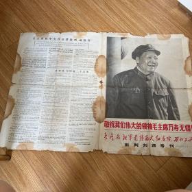 批判专刊