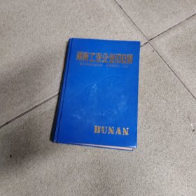湖南工业企业100强(一版一印3000册)