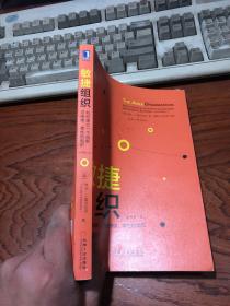 敏捷组织：如何建立一个创新、可持续、柔性的组织（原书第2版）