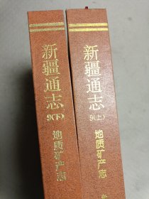 新疆通志.第九卷.地质矿产志 上下册全