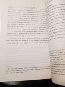 WTO的未来：阐释新千年中的体制性挑战