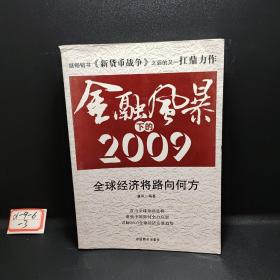 金融风暴下的2009