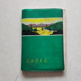 36开绿塑皮空白日记本（封面有“农业学大寨”字样及山林画作，内有6幅70年代长沙市市容照片）