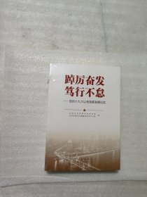 踔厉奋发笃行不怠——党的十九大以来首都发展纪实