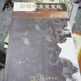 后现代主义文化：当代理论导引